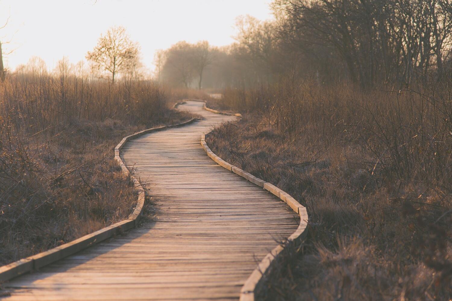 Votre chemin, votre parcours